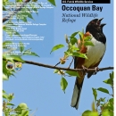 Occoquan Bay NWR Brochure