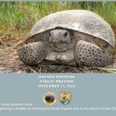 Gopher Tortoise Public Meeting December 13 2022_508 compliant.pdf
