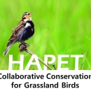 HAPET Grassland Birds_FINAL 091323.pdf