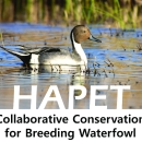 HAPET Waterfowl_FINAL 091323.pdf