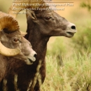 Hart Mountain National Antelope Refuge Final Bighorn Sheep Management Plan and EIS.pdf