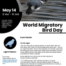 Hackmatack World Migratory Bird Day Flyer 22