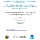 Determination of Injury to Natural Resources from Remedial Activities on the Hudson River: Riverine Fringing Wetlands, Aquatic Vegetation Beds, Shoreline Trees, and Native Freshwater Mussels