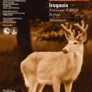 mammals-brochure-iroquois-nwr.pdf
