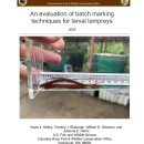 An evaluation of batch marking techniques for larval lampreys