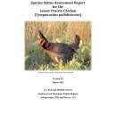 Species Status Assessment Report for the Lesser Prairie-Chicken