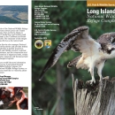Long Island general brochure.pdf
