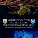 Northeast Canyons and Seamounts Marine National Monument Draft Management Plan and Environmental Assessment