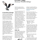 NEW Great Bay NWR fact sheet.pdf