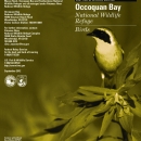 Occoquan Bay NWR Bird List