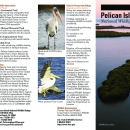 Pelican Island Brochure