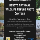 Photo Contest Flyer DeSoto.pdf