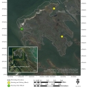 Plum Tree Island Hunt Map.pdf