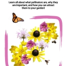 Pollinator Garden Handbook 