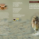 Protecting Burrowing Owls at Construction Sites