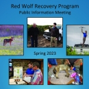 Red Wolf Recovery Program_Spring 2023 Update_508 compliant.pdf