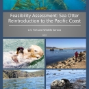 Cover photo for the Feasibility Assessment: Sea Otter Reintroduction to the Pacific Coast with a collage of photos including kelp and fish under water, a mother sea otter holding her pup in the water, people looking at fishing boats, otter swimming on back eating a sea urchin, and a view above water looking at the kelp beneath.