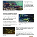 Salmon Factsheet and Activities