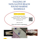 TAGGING OF NON-NATIVE BEACH FOUND MARINE MAMMALS 