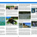 Tampa Bay National Wildlife Refuge Brochure 