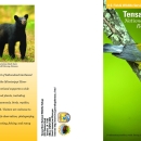 Tensas Recreation Brochure