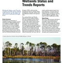 Wetlands Status and Trends Reports Fact Sheet