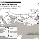 Blackwater NWR Wildlife Drive Map - Spanish