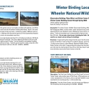 Winter Birding at Wheeler NWR - December 2022.pdf
