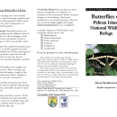 Pelican Island Butterfly Leaflet