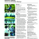 An image of the refuge fact sheet.