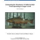 Estimating the Abundance of Adfluvial Bull Trout Spawning in Cougar Creek