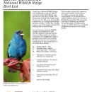 Bird List for Lower Suwannee and Cedar Keys NWRs