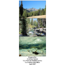 bulltroutfinalreport2016.pdf