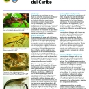 caribbean-crustaceans-spanish