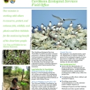 Caribbean Ecological Services Field Office - Project Evaluations