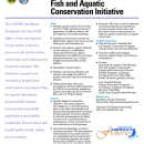 The U.S. Caribbean Fish and Aquatic Conservation Initiative