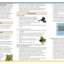 cesfo-brochure-spanish-caribbean-ecological-services-field-office