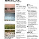 Fact Sheet for coldwater river national wildlife refuge
