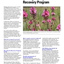 Endangered Species Recovery Program