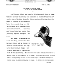 Big Range for Bighorn Sheep Is Set up in Southern Nevada July 11, 1936 A