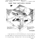 Cage Trap Captures Crows January 20, 1938