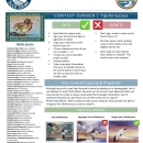 Jr. Duck Stamp General Information 2