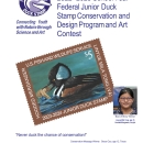 2023-2024 Junior Duck Stamp brochure, contest rules and regulations