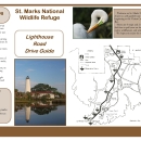 lighthouse-road-drive-guide-st-marks-nwr