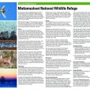 mattamuskeet-national-wildlife-refuge-tearsheet
