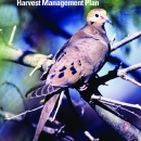 Mourning Dove National Strategic Harvest Management Plan
