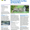 Reconectando los Ríos de Puerto Rico
