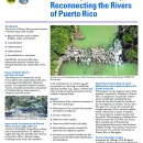 reconnecting-the-rivers-of-puerto-rico