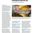 Section 4(d) Rules Under the Endangered Species Act