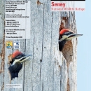 Picture of the cover of the Seney National Wildlife Refuge General Brochure
